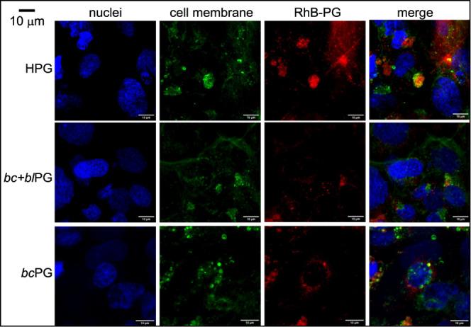 https://cdn.ncbi.nlm.nih.gov/pmc/blobs/f2c8/11170947/5639904910e3/bm4c00210_0011.jpg