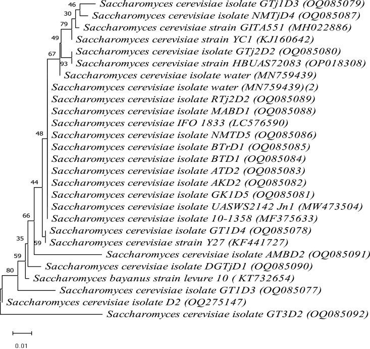https://cdn.ncbi.nlm.nih.gov/pmc/blobs/f2c9/10590766/8a43b6cc2870/gr4.jpg