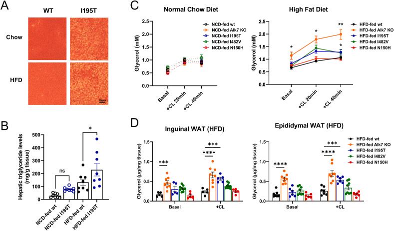 https://cdn.ncbi.nlm.nih.gov/pmc/blobs/f2cb/10863331/2e03f1e9c697/gr4.jpg