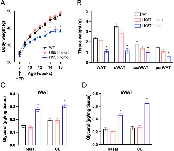 https://cdn.ncbi.nlm.nih.gov/pmc/blobs/f2cb/10863331/75d68daceabc/gr6.jpg