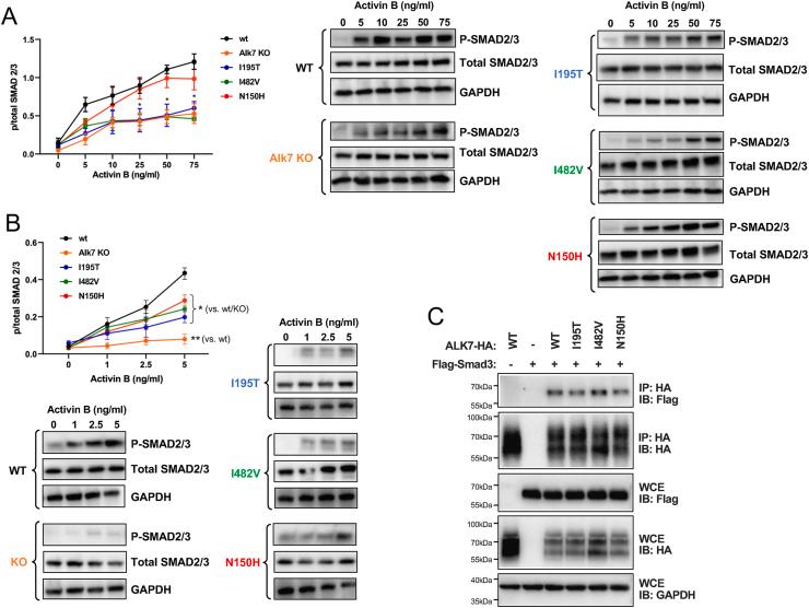 https://cdn.ncbi.nlm.nih.gov/pmc/blobs/f2cb/10863331/c96f7a234a11/gr7.jpg