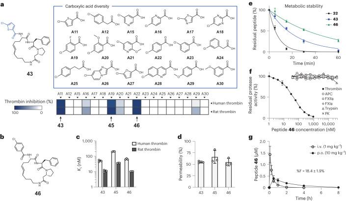 https://cdn.ncbi.nlm.nih.gov/pmc/blobs/f2cb/11062899/08a7113e0beb/41589_2023_1496_Fig6_HTML.jpg