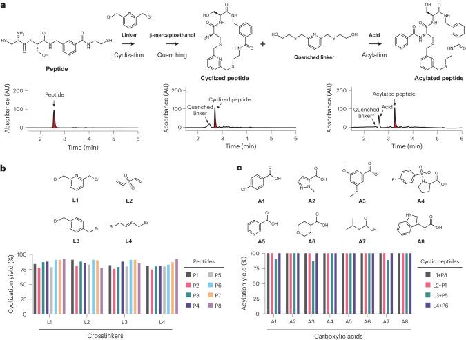 https://cdn.ncbi.nlm.nih.gov/pmc/blobs/f2cb/11062899/77c83028bc30/41589_2023_1496_Fig2_HTML.jpg