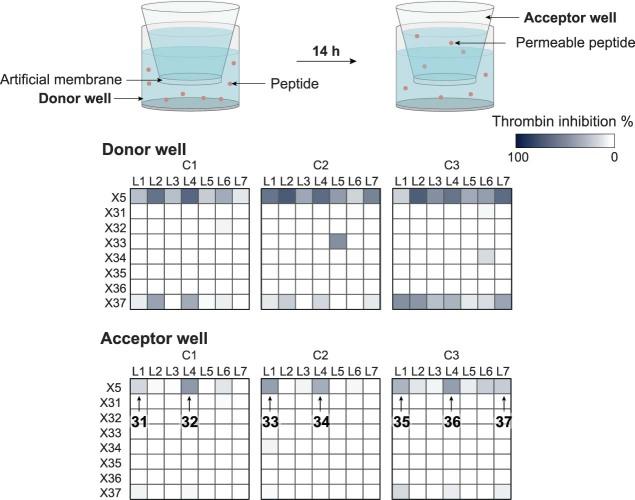 https://cdn.ncbi.nlm.nih.gov/pmc/blobs/f2cb/11062899/dbe9255ef3ec/41589_2023_1496_Fig9_ESM.jpg