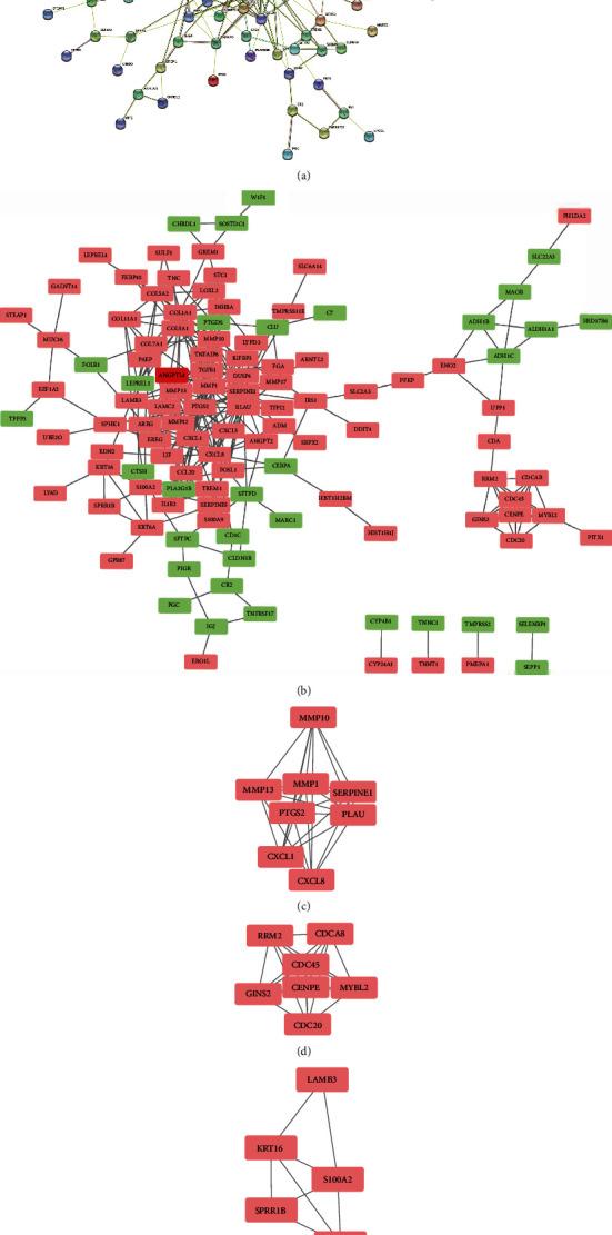 https://cdn.ncbi.nlm.nih.gov/pmc/blobs/f2cc/9568294/edbd0b840bea/ECAM2022-3444740.009.jpg