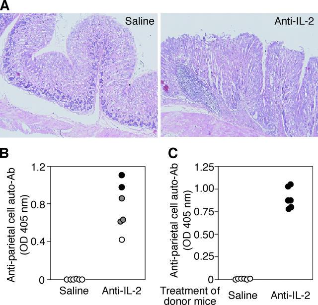 https://cdn.ncbi.nlm.nih.gov/pmc/blobs/f2d1/2212841/64dc772f145d/20041982f6.jpg