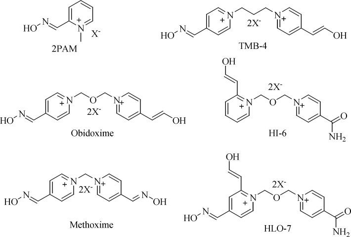 https://cdn.ncbi.nlm.nih.gov/pmc/blobs/f2d1/5610744/1e1908c40818/ijpr-16-0880-g001.jpg
