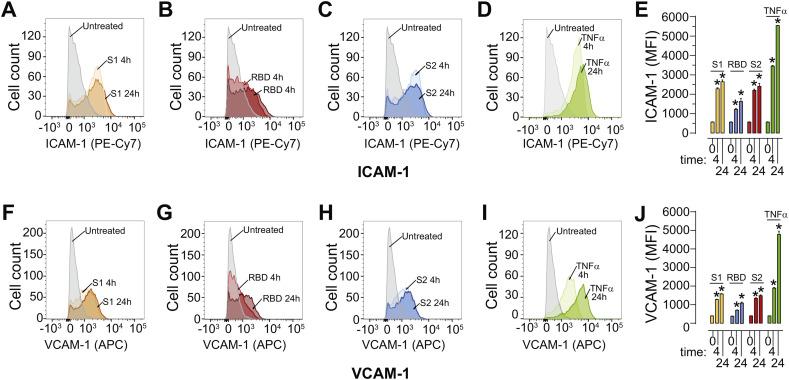https://cdn.ncbi.nlm.nih.gov/pmc/blobs/f2d1/7547916/654cd27b4b3f/gr5_lrg.jpg