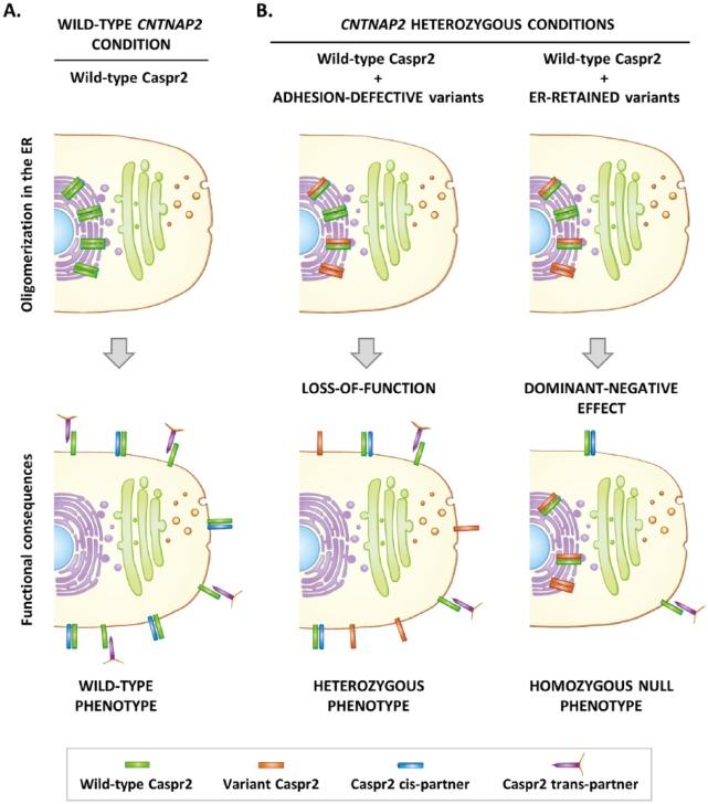 https://cdn.ncbi.nlm.nih.gov/pmc/blobs/f2d2/6236484/87b4f6712bca/10.1177_1179069518809666-fig2.jpg