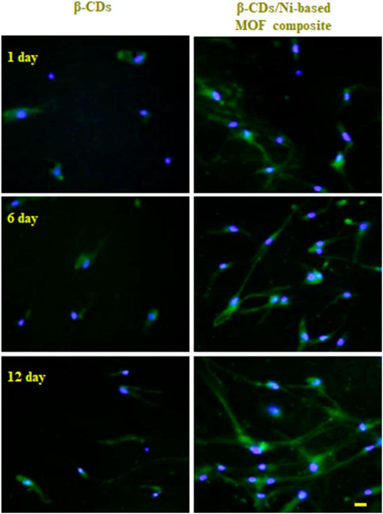 https://cdn.ncbi.nlm.nih.gov/pmc/blobs/f2d4/9926337/224ec06e1df4/d2ra05464g-f10.jpg