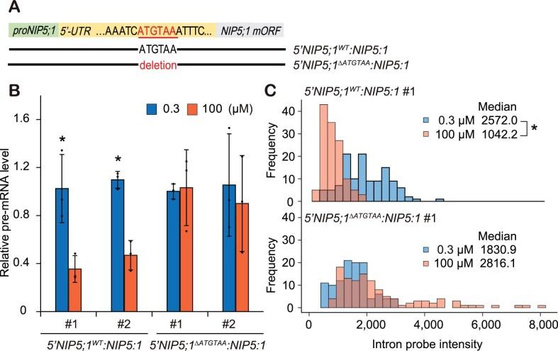 https://cdn.ncbi.nlm.nih.gov/pmc/blobs/f2d6/11915504/15981376a7d9/gkaf159fig3.jpg