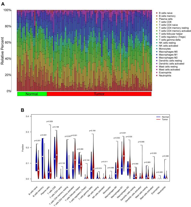 https://cdn.ncbi.nlm.nih.gov/pmc/blobs/f2d7/8901051/a51a4765fb95/IJGM-15-2329-g0010.jpg
