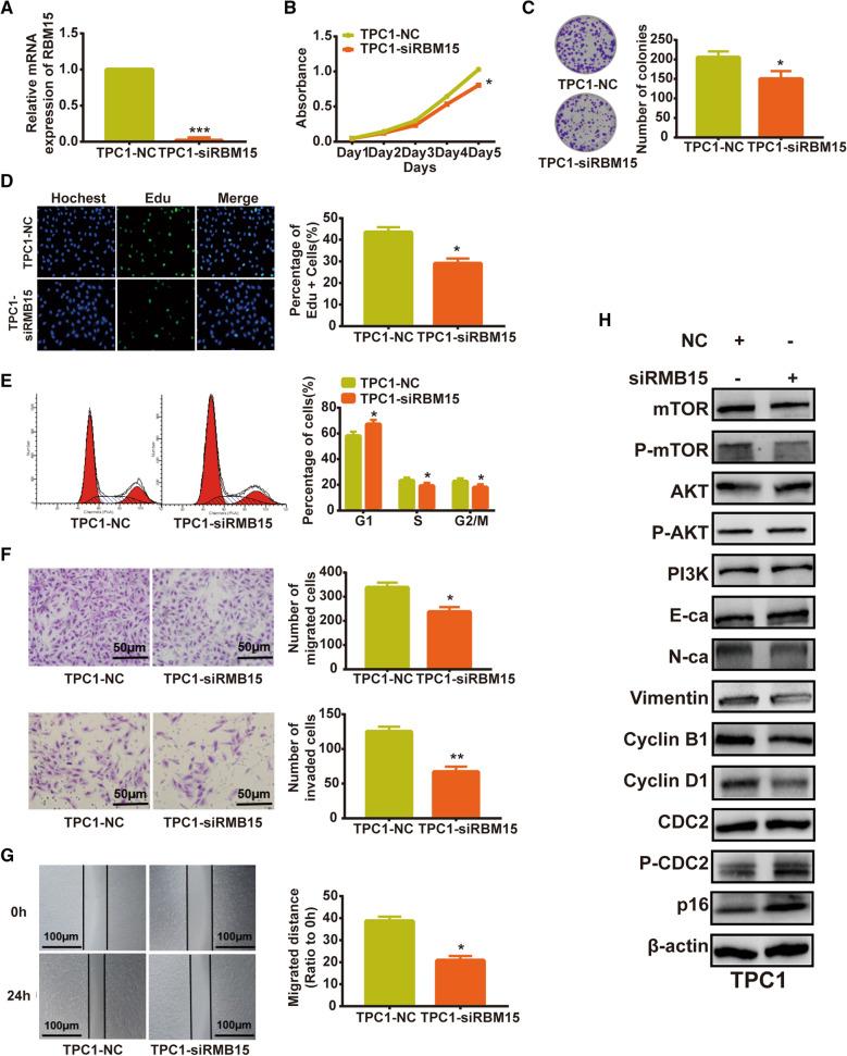 https://cdn.ncbi.nlm.nih.gov/pmc/blobs/f2d8/8287668/35a839839583/12935_2021_2090_Fig8_HTML.jpg