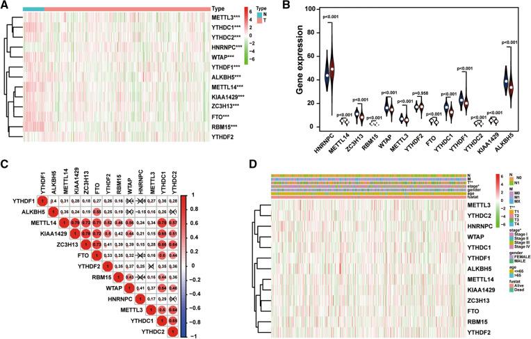 https://cdn.ncbi.nlm.nih.gov/pmc/blobs/f2d8/8287668/7b5fcee23f1b/12935_2021_2090_Fig1_HTML.jpg
