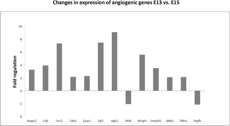 https://cdn.ncbi.nlm.nih.gov/pmc/blobs/f2d9/6389724/b43946479493/fphys-10-00124-g004.jpg