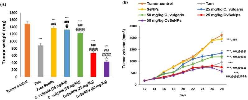 https://cdn.ncbi.nlm.nih.gov/pmc/blobs/f2da/12211136/981305bd6e46/12896_2025_998_Fig6_HTML.jpg
