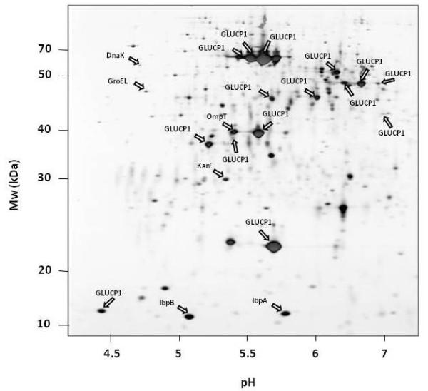 https://cdn.ncbi.nlm.nih.gov/pmc/blobs/f2db/2893105/c2a0c6906414/1475-2859-9-41-6.jpg