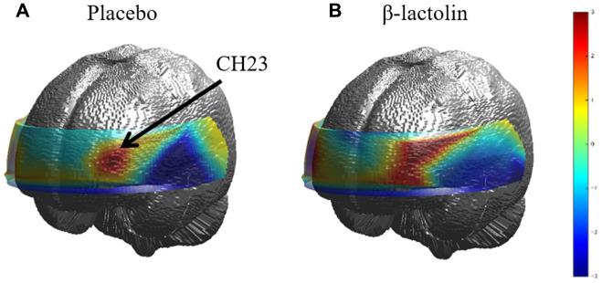 https://cdn.ncbi.nlm.nih.gov/pmc/blobs/f2db/7585116/84a477a72cdd/aging-12-103951-g003.jpg