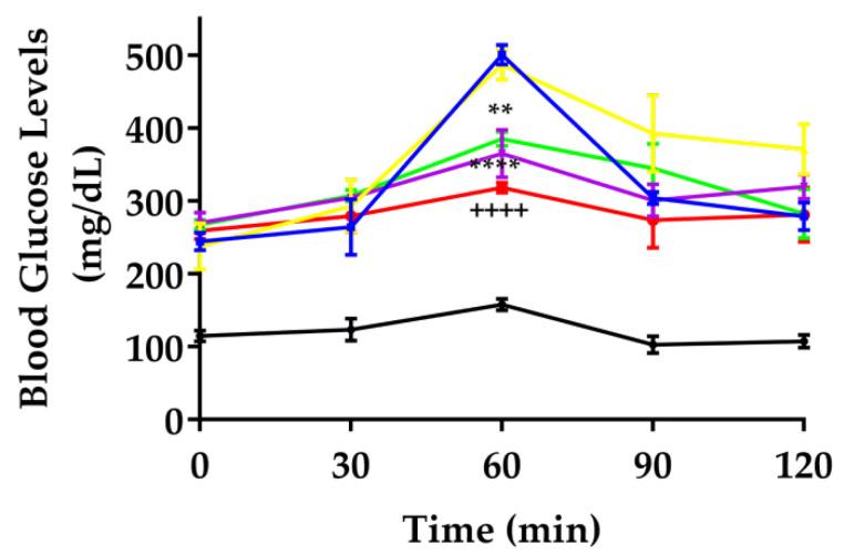 https://cdn.ncbi.nlm.nih.gov/pmc/blobs/f2dd/12195957/20e8b54423fd/pharmaceutics-17-00730-g002.jpg