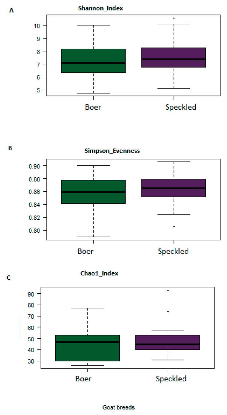 https://cdn.ncbi.nlm.nih.gov/pmc/blobs/f2de/8229190/086ccc11577a/vetsci-08-00103-g005.jpg