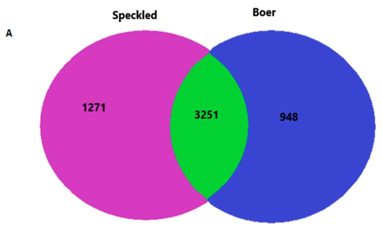 https://cdn.ncbi.nlm.nih.gov/pmc/blobs/f2de/8229190/cd56d90bdfcf/vetsci-08-00103-g002a.jpg