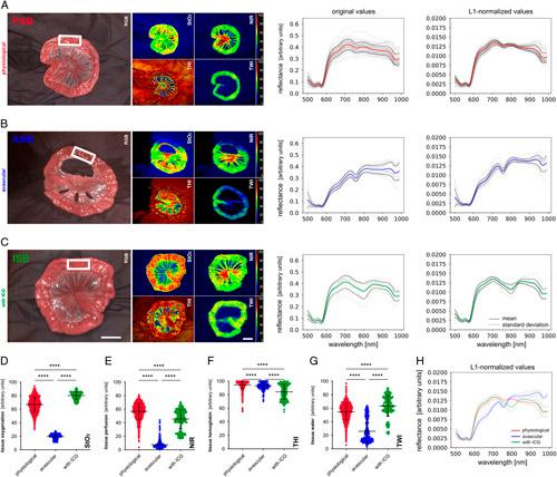 https://cdn.ncbi.nlm.nih.gov/pmc/blobs/f2df/10720797/b984726e63f5/js9-109-3883-g001.jpg
