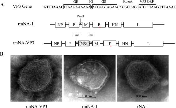 https://cdn.ncbi.nlm.nih.gov/pmc/blobs/f2df/7114436/4070cc020615/gr2.jpg