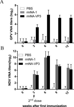 https://cdn.ncbi.nlm.nih.gov/pmc/blobs/f2df/7114436/d7f493b0455a/gr5.jpg
