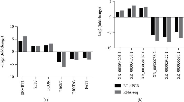 https://cdn.ncbi.nlm.nih.gov/pmc/blobs/f2df/8342165/5c6ba4bbf6c9/OMCL2021-8460355.008.jpg