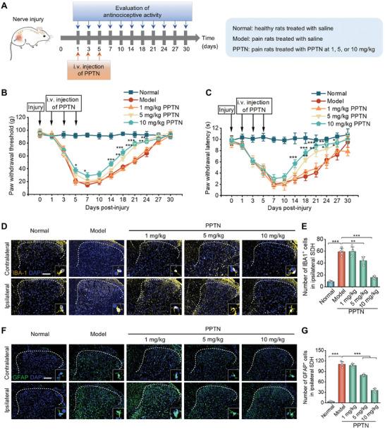 https://cdn.ncbi.nlm.nih.gov/pmc/blobs/f2e0/11848598/39bbc000ddaf/ADVS-12-2405483-g007.jpg