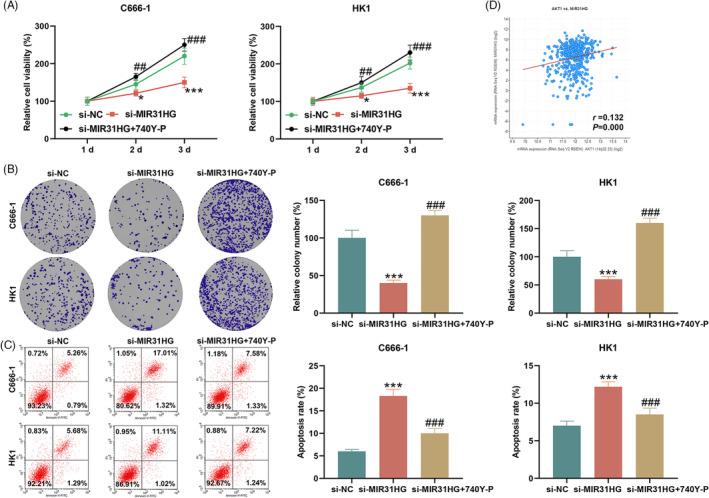 https://cdn.ncbi.nlm.nih.gov/pmc/blobs/f2e0/9757018/d120c0191496/JCLA-36-e24720-g001.jpg