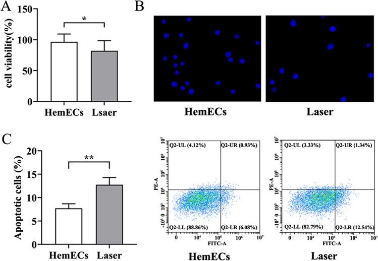 https://cdn.ncbi.nlm.nih.gov/pmc/blobs/f2e1/10796541/4ba5777de5ab/10103_2023_3967_Fig2_HTML.jpg