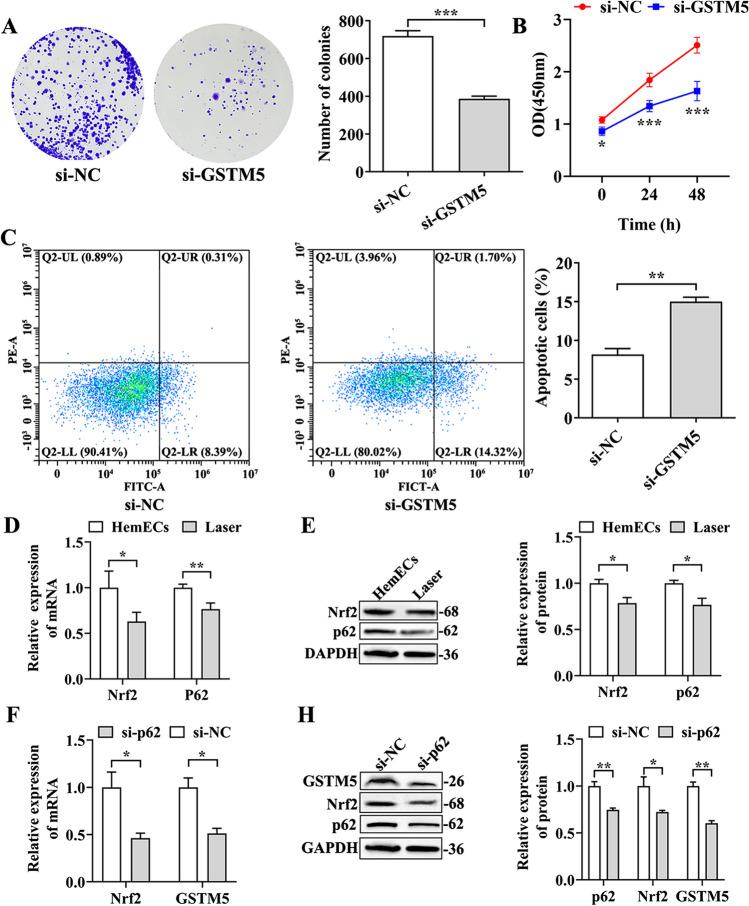 https://cdn.ncbi.nlm.nih.gov/pmc/blobs/f2e1/10796541/832180878b94/10103_2023_3967_Fig4_HTML.jpg