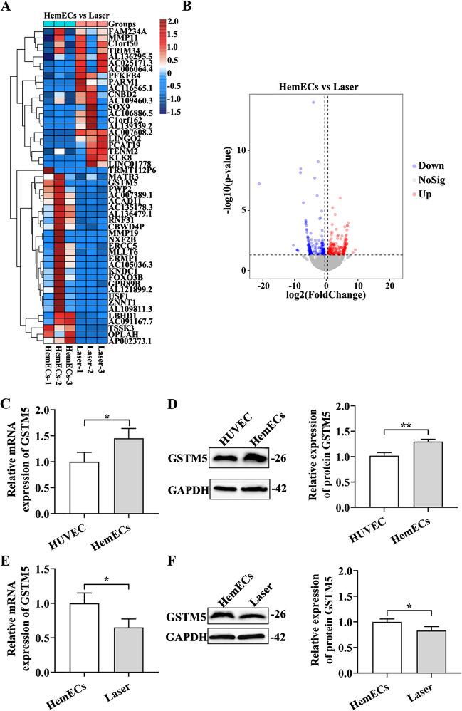 https://cdn.ncbi.nlm.nih.gov/pmc/blobs/f2e1/10796541/85e77c0a2cb9/10103_2023_3967_Fig3_HTML.jpg