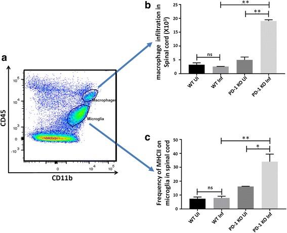 https://cdn.ncbi.nlm.nih.gov/pmc/blobs/f2e2/5836380/d5ef164ca8ce/12974_2018_1107_Fig8_HTML.jpg