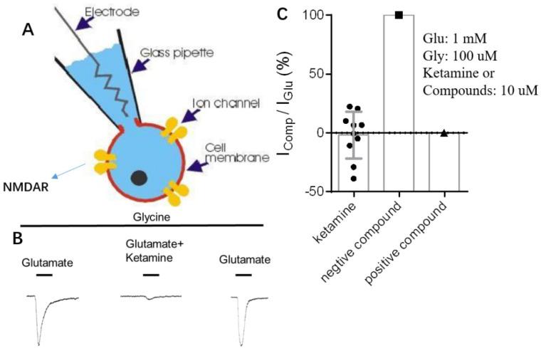 https://cdn.ncbi.nlm.nih.gov/pmc/blobs/f2e3/11173549/cb211544e066/molecules-29-02459-g004.jpg