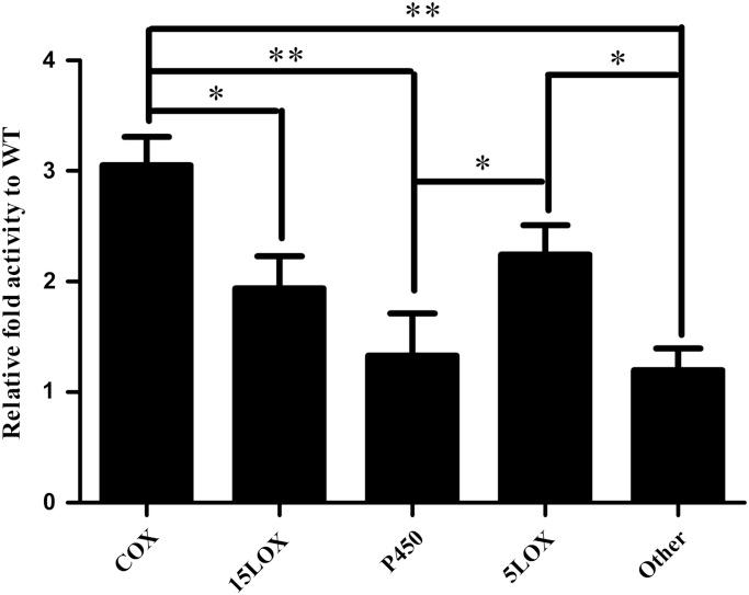 https://cdn.ncbi.nlm.nih.gov/pmc/blobs/f2e3/4245045/b71b2e2703f0/ddu40704.jpg