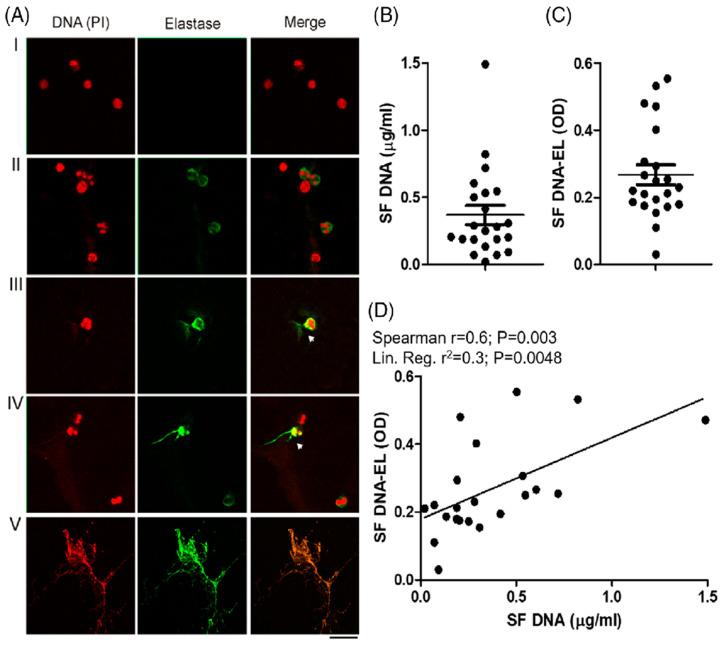 https://cdn.ncbi.nlm.nih.gov/pmc/blobs/f2e4/11395128/448feca64b4d/ijms-25-09140-g004.jpg