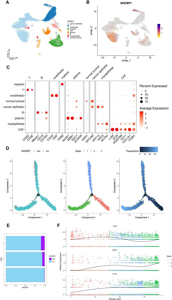 https://cdn.ncbi.nlm.nih.gov/pmc/blobs/f2e4/12340242/17ae5ec7658e/fonc-15-1587236-g008.jpg
