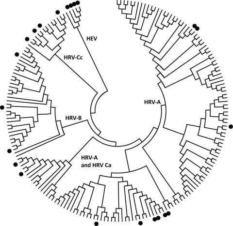 https://cdn.ncbi.nlm.nih.gov/pmc/blobs/f2e7/3204776/721d984ad436/10-1123-F.jpg