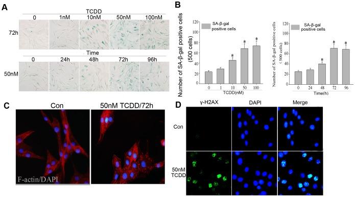 https://cdn.ncbi.nlm.nih.gov/pmc/blobs/f2e7/3933666/14d7e06038a1/pone.0089811.g001.jpg
