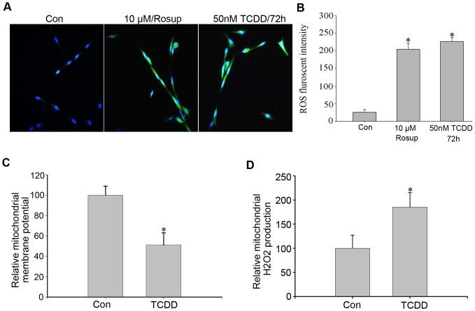 https://cdn.ncbi.nlm.nih.gov/pmc/blobs/f2e7/3933666/3068109e2167/pone.0089811.g005.jpg