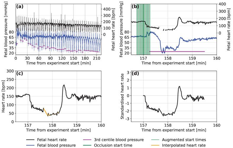 https://cdn.ncbi.nlm.nih.gov/pmc/blobs/f2e9/10376045/b735842c8bbd/bioengineering-10-00775-g001.jpg
