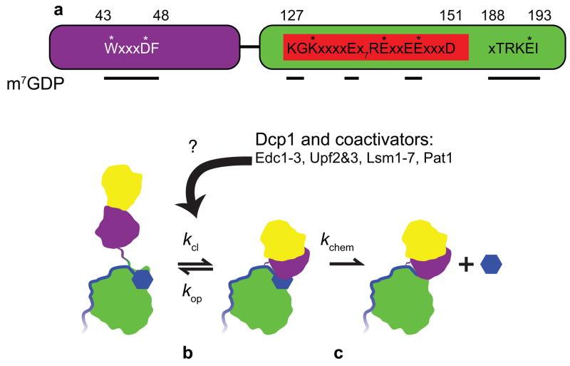 https://cdn.ncbi.nlm.nih.gov/pmc/blobs/f2ea/2933276/2996da082e65/nihms223202f5.jpg