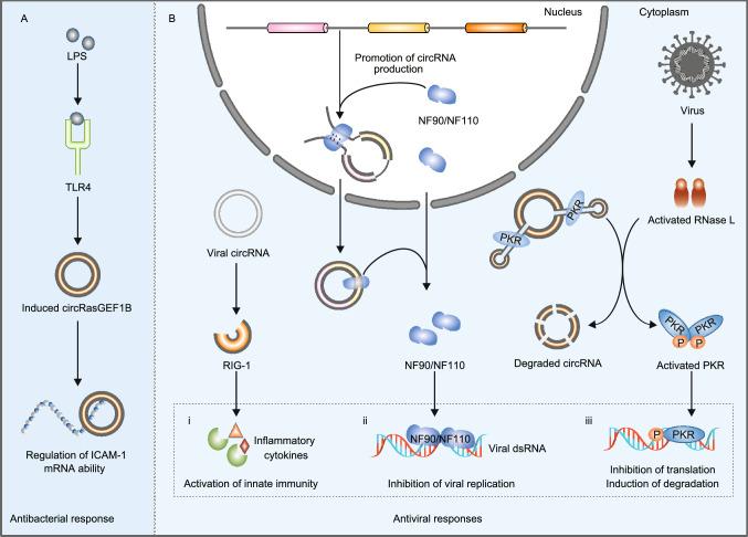 https://cdn.ncbi.nlm.nih.gov/pmc/blobs/f2ea/8674396/658c3db20b94/13238_2020_799_Fig3_HTML.jpg