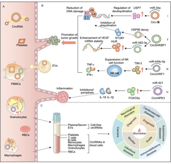 https://cdn.ncbi.nlm.nih.gov/pmc/blobs/f2ea/8674396/9d6ffc818a4a/13238_2020_799_Fig2_HTML.jpg
