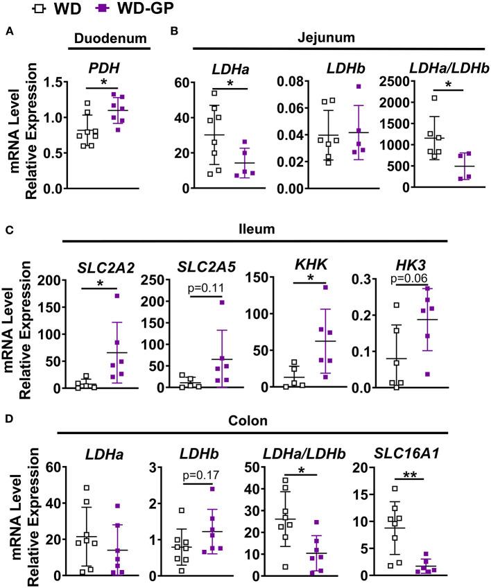 https://cdn.ncbi.nlm.nih.gov/pmc/blobs/f2ec/8238044/d3320fc54ead/fnut-08-675267-g0005.jpg