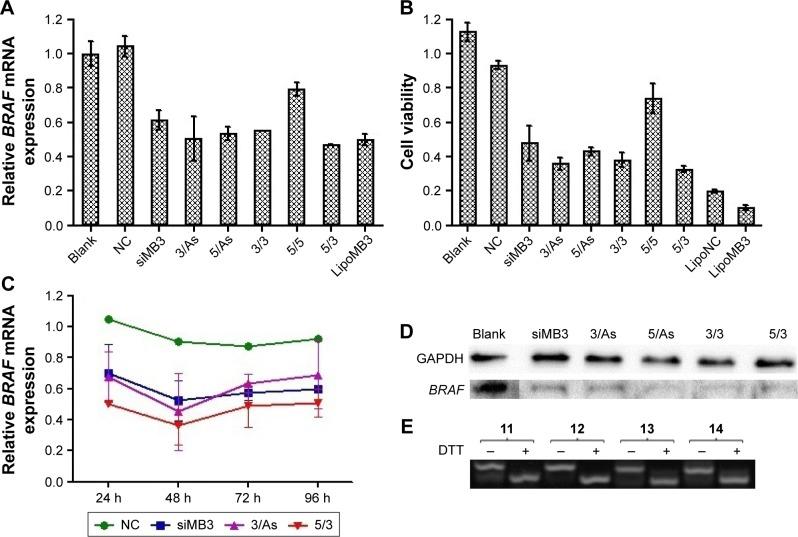 https://cdn.ncbi.nlm.nih.gov/pmc/blobs/f2ef/5634379/78fccd6d7c8f/ijn-12-7255Fig7.jpg
