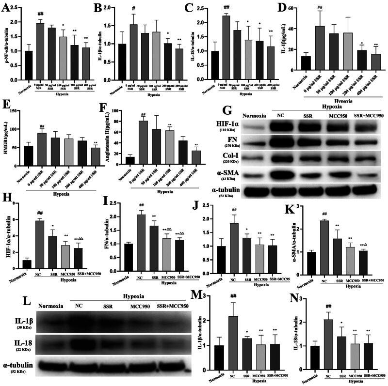 https://cdn.ncbi.nlm.nih.gov/pmc/blobs/f2f0/12090266/50eeabb73601/IRNF_A_2502875_F0007_B.jpg