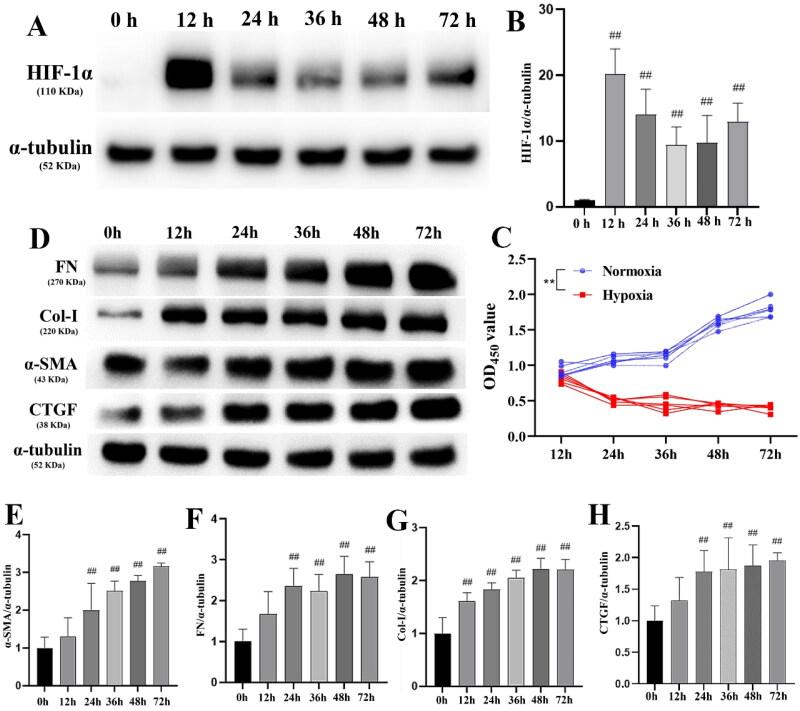 https://cdn.ncbi.nlm.nih.gov/pmc/blobs/f2f0/12090266/71685c82d473/IRNF_A_2502875_F0002_C.jpg